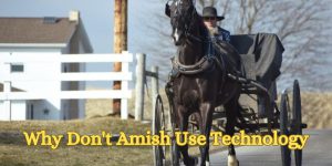Why Don't Amish Use Technology