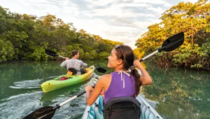 Are There Eco-Friendly Boat Tours in Dubai