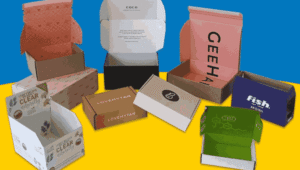 How to Start Custom Orders with Buddy Packaging South Punjab