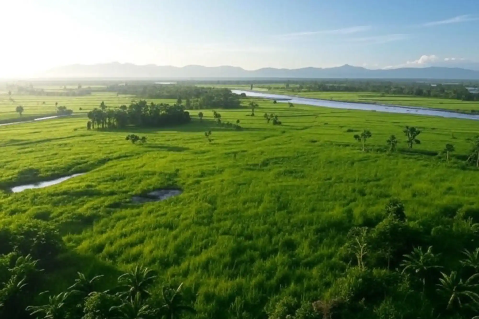 Affordable Undeveloped Land for Sale in Indonesia