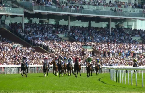 Are There Horse Racing Betting Sites for Beginners