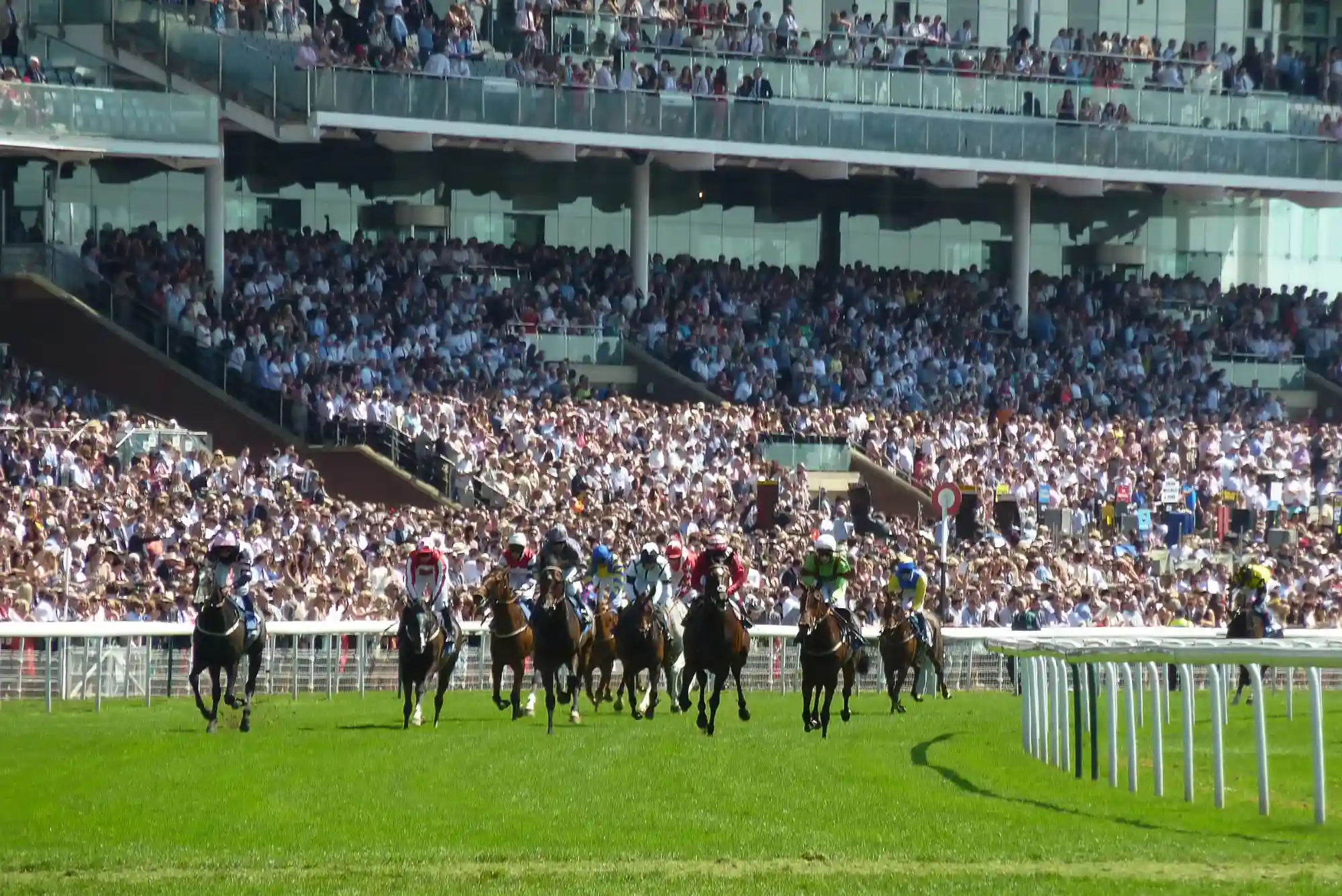 Are There Horse Racing Betting Sites for Beginners