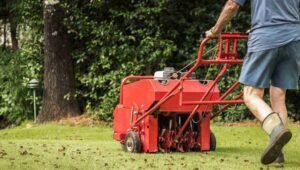 Lawn Services in Omaha, NE