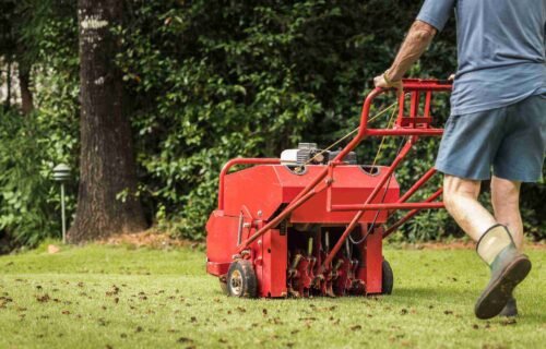 Lawn Services in Omaha, NE