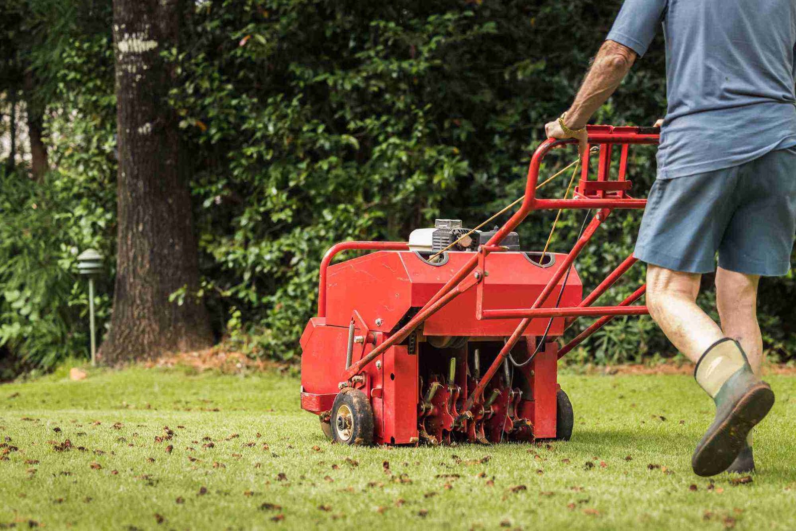 Lawn Services in Omaha, NE